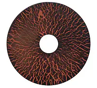 6 PT DEEP SOCKET 10MM - Master