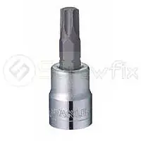 1/2" TORX BIT SOCKET T55 - Master