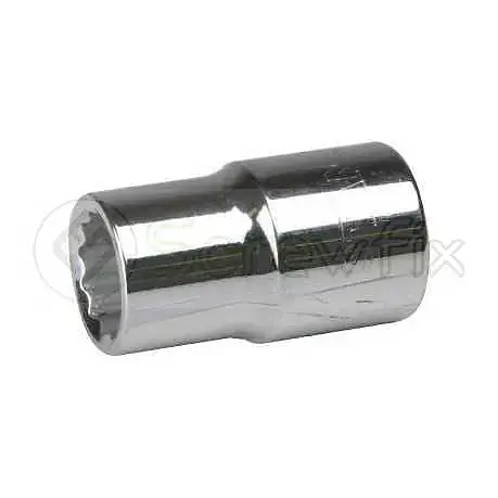 12 PT STANDARD SOCKET 19MM - Master